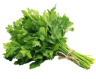 maydanoz-parsley